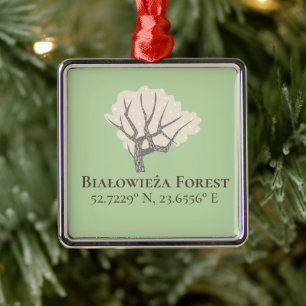 Ornement Carré Argenté Białowieża Forêt Latitude & Longitude