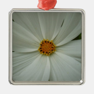 Ornement Carré Argenté Blanc Cosmos Fleur sauvage d'été Floral