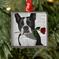 Boston Terrier avec Rose dans la bouche