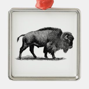 Ornement Carré Argenté Buffalo américain