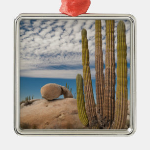 Ornement Carré Argenté Cactus dans un paysage désertique