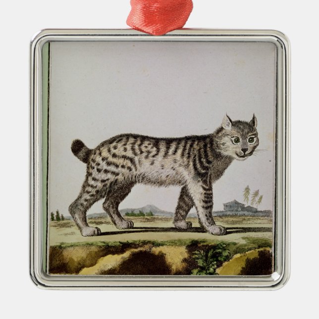 Ornement Carré Argenté Canadien Lynx (Devant)