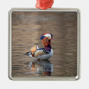 Ornement Carré Argenté Canard mandarin