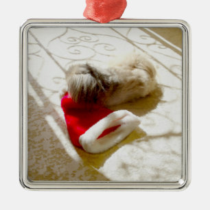 Ornement Carré Argenté Captured Santa