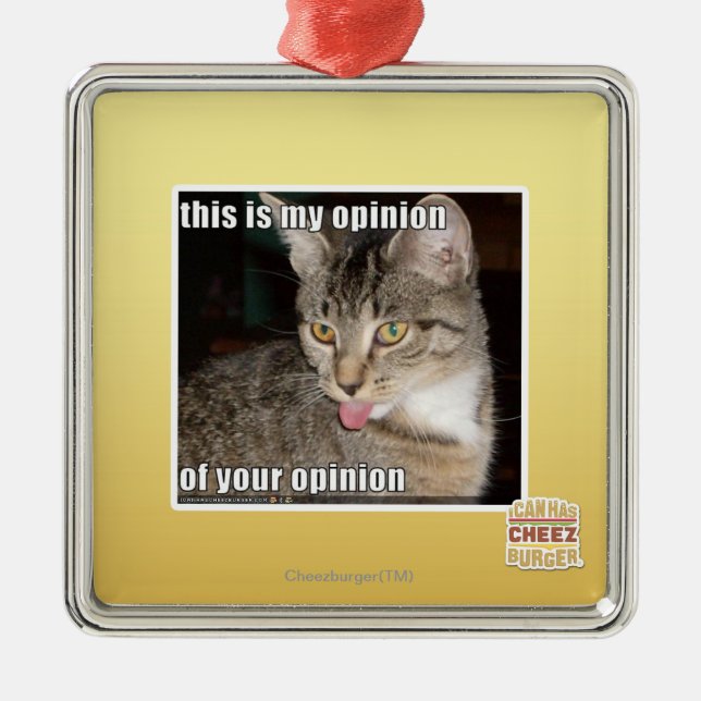 Ornement Carré Argenté c'est mon avis (Devant)