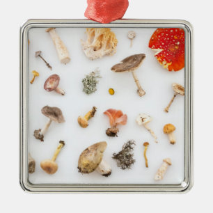 Ornement Carré Argenté Champignons