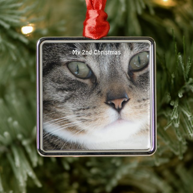 Ornement Carré Argenté Chat d'argent Ma 2e photo de Noël (Arbre)