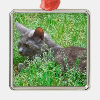 Ornement Carré Argenté Chat gris de Tortie