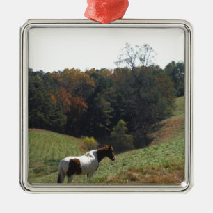 Ornement Carré Argenté Cheval Brown et blanc à l'étang d'automne