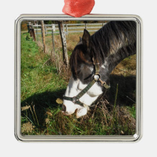 Ornement Carré Argenté Cheval Peint, Manger Reine Ann Fleur dentelle