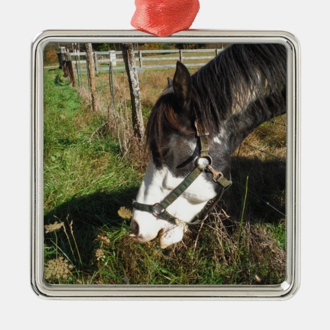 Ornement Carré Argenté Cheval Peint, Manger Reine Ann Fleur dentelle (Devant)
