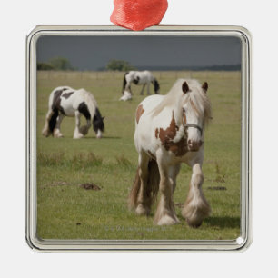 Ornement Carré Argenté Chevaux de Clydesdale dans un domaine, le