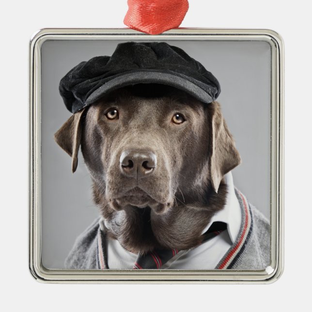 Ornement Carré Argenté Chien dans le chandail et le casquette (Devant)