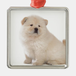 Ornement Carré Argenté chien de chiot blanc mignon de chiot de bouffe de