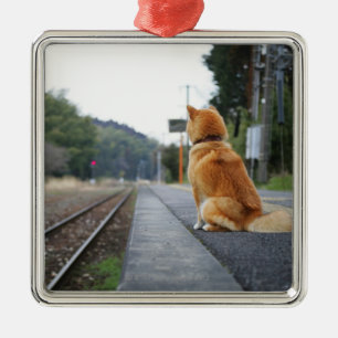 Ornement Carré Argenté Chien se reposant sur la station de train
