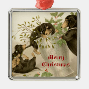 Ornement Carré Argenté Chiens jouant avec le mistletoe de Noël et la baie