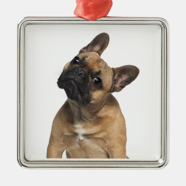 Ornement Carré Argenté Chiot de bouledogue français (7 mois) (Devant)