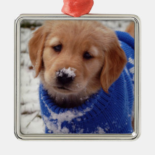 Ornement Carré Argenté Chiot de golden retriever