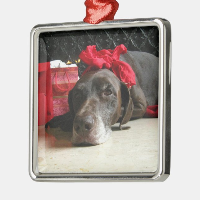 Ornement Carré Argenté Christmas german shorthred pointer (Gauche)