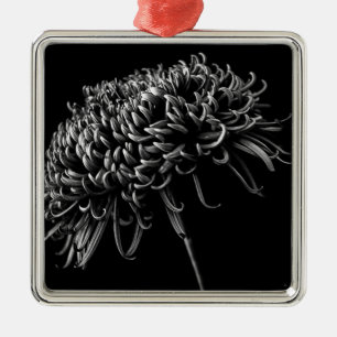 Ornement Carré Argenté Chrysanthème