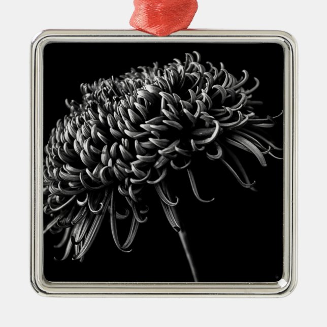 Ornement Carré Argenté Chrysanthème (Devant)