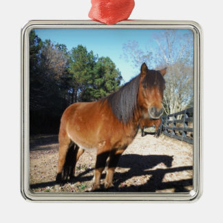 Ornement Carré Argenté Ciel turquoise de poney Brown