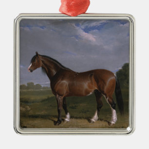 Ornement Carré Argenté Clydesdale Stallion (Thoroughbred Horse) (Animal)