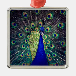 Ornement Carré Argenté Cobalt Blue Peacock