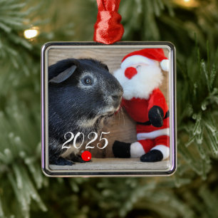 Ornement Carré Argenté Cochon de Guinée avec Père Noël Toy