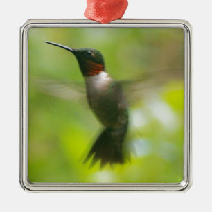 Ornement Carré Argenté Colibri