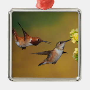 Ornement Carré Argenté Colibri Rufous de flottement