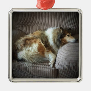 Ornement Carré Argenté Collie rugueux sur fauteuil