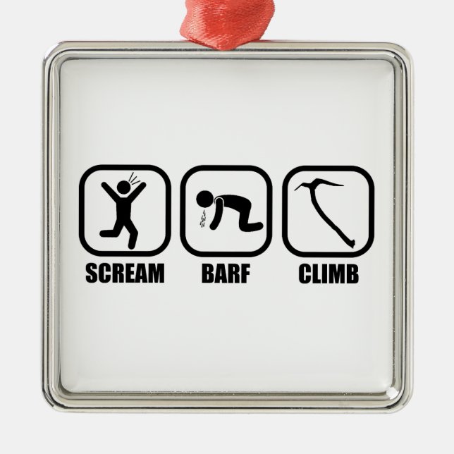 Ornement Carré Argenté Cri Barf Climb (Devant)