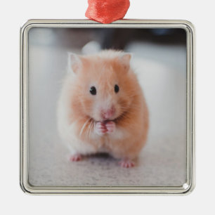 Ornement Carré Argenté Cute Hamster Aimer Animaux