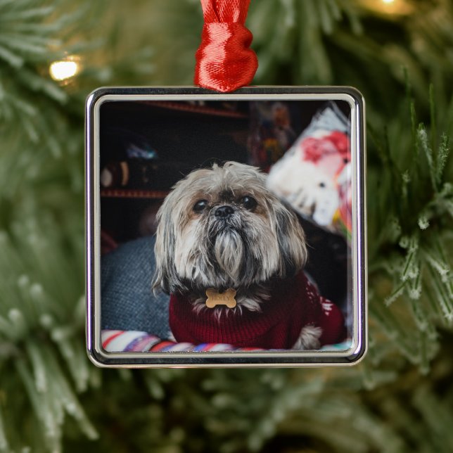 Ornement Carré Argenté Cute lhasa apso puppy at (Arbre)