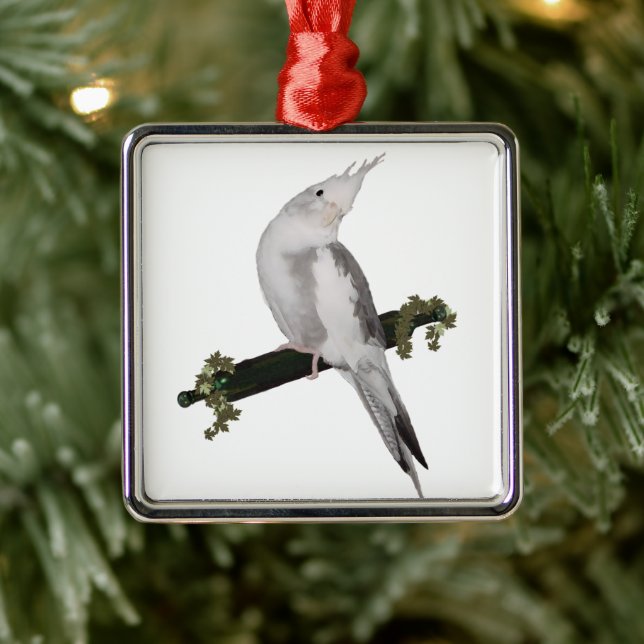 Ornement Carré Argenté Cute Lutino Cockatiel Bird Ivy Perch Animal (Arbre)