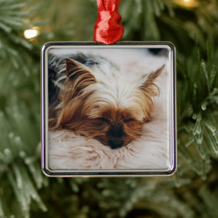Ornement Carré Argenté Cutest Baby Animals   Yorkshire Terrier
