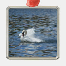 Cygne éclaboussant sur le lac Morton