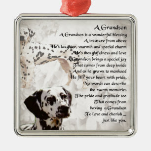 Ornement Carré Argenté Dalmation - poème de petit-fils
