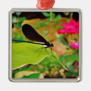 Ornement Carré Argenté Damselfly et Rose