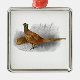 Ornement Carré Argenté Dessin coloré d'un faisan de chasse vintage #3