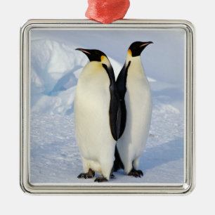 Ornement Carré Argenté Deux pingouins d'empereur en Antarctique