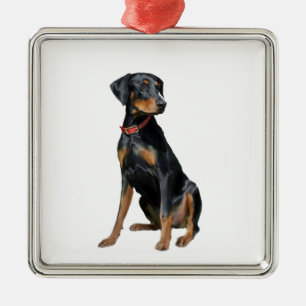 Ornement Carré Argenté Doberman Pinscher (naturel)