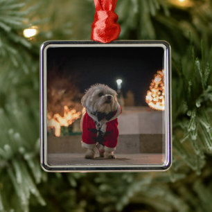 Ornement Carré Argenté Dog à Santa costume