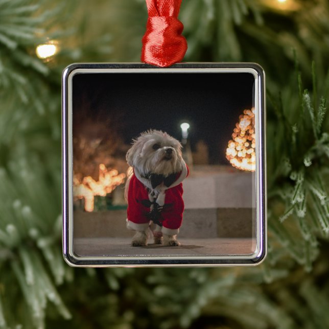 Ornement Carré Argenté Dog à Santa costume (Arbre)