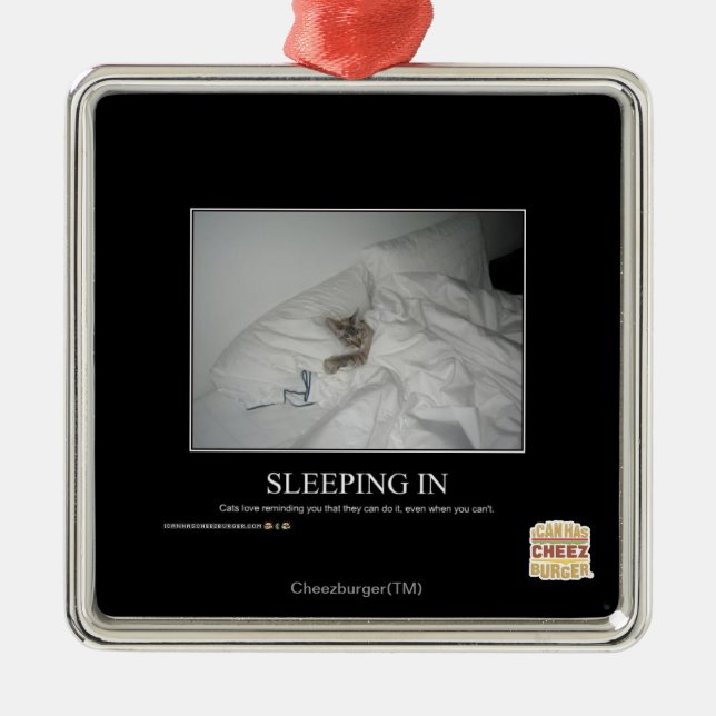 Ornement Carré Argenté Dormir (Devant)