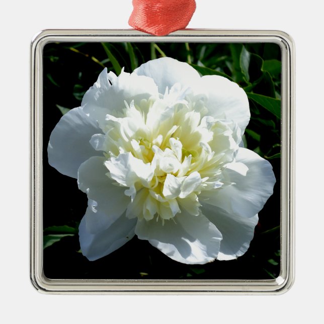 Ornement Carré Argenté Elégant blanc peony floral blanc photo (Devant)