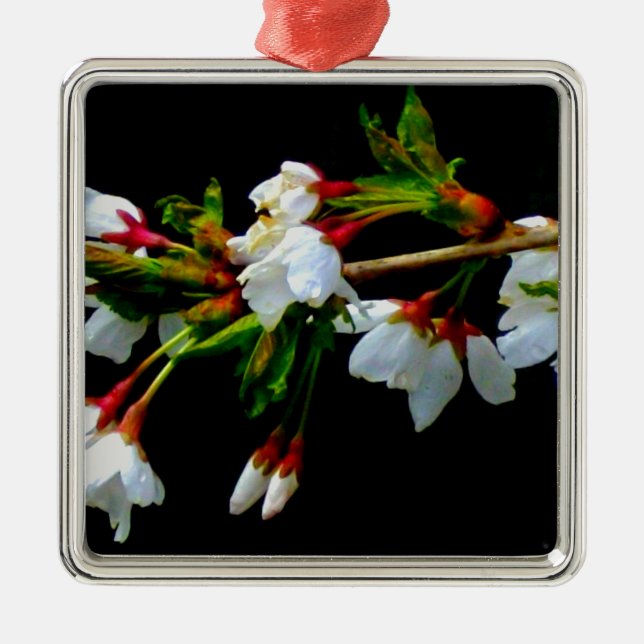 Ornement Carré Argenté Élégant noir blanc fleuri blanc Blossom (Devant)