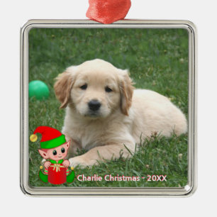 Ornement Carré Argenté Elf mignon & Personnalisé Golden Retriever Puppy P