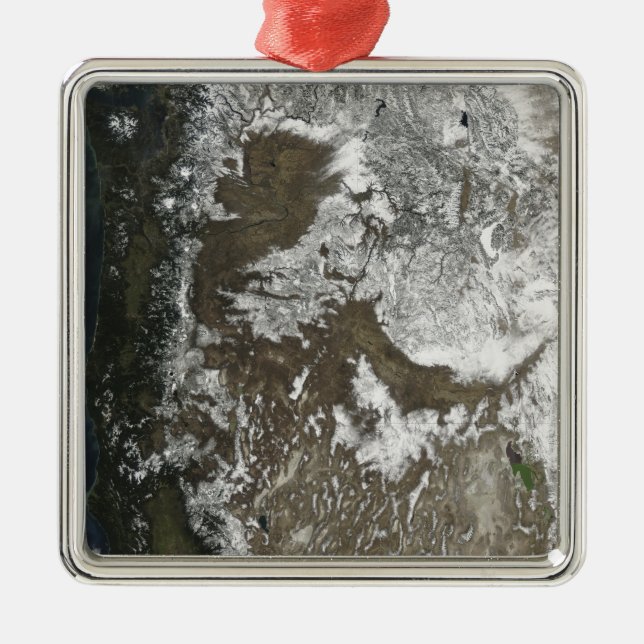 Ornement Carré Argenté États-Unis (Devant)